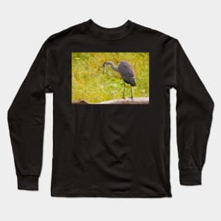 Big Bird Long Sleeve T-Shirt